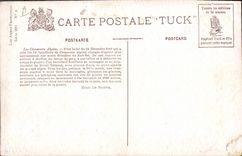 CPA Militaria Chasseurs Alpins 