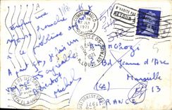 CHART SYSTEM Fantasy Illustrator The truth At last Scotland Dog