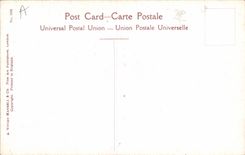 Vintage Postcard Fantasy Illustrator Child Tiger I' m glad Mummy don' T curry me like that