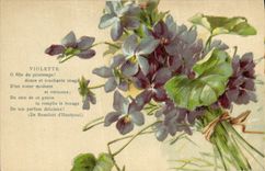 Vintage Postcard Fantasy Flowers Violet