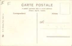 Vintage Postcard Fantasy Flowers Violet