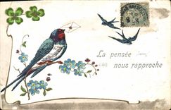 Vintage Postcard Bird Clover Swallow