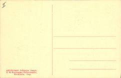 Postal Bruno Liljefors Hafsornar Rapaz