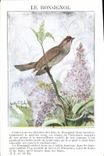 Vintage Postcard the nightingale