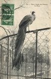 CPA Paris Jardin des Plantes Le paon 