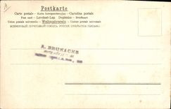 Vintage Postcard Parrots