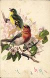 CPA Oiseaux 