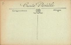 Vintage Postcard Savoy King of the Alps Eagle Raptor