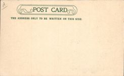 Vintage Postcard Australia Quadrant Bird