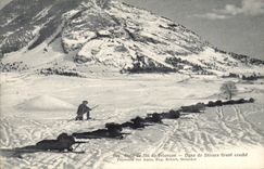 CPA Militaria Chasseurs Alpins Ecole de ski de Briancon Ligne de skieurs tirant couche 