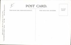 Vintage Postcard Fantasy Illustrator Children Dog Hush a spy!