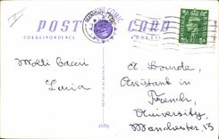 Vintage Postcard Fantasy Illustrator Cow Calf Over Stupid young stag!