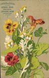 Vintage Postcard Fantasy Flowers Yellow Red Nasturtium