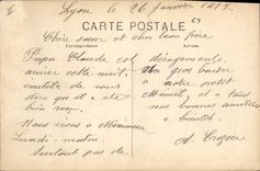 CPA Lyon Les mouettes sur le Rhone 