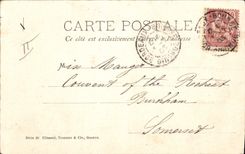 CPA Mouettes 