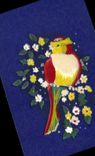 CPA Perroquet (décor en feutrine) 