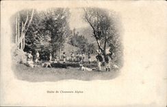 CPA Militaria Chasseurs Alpins Halte