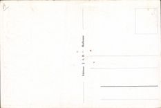 CPA Folklore Alsace Alsacienne Drapeaux