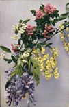 Postal Fantasia Flores Cytisus Laburnum