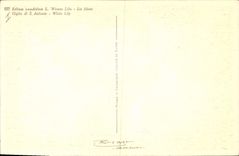 Postal Fantasia Flores Lirio blanco