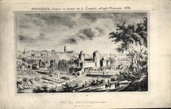 Vintage Postcard Ferns according to the drawing of Polish emigrated Czapaki