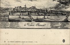 Vintage Postcard old Ferns