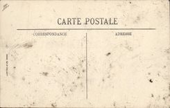 Vintage Postcard old Ferns