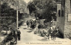CPA Militaria Chasseurs Alpins Batterie alpine sur route Retour des Alpes