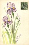 Vintage Postcard Fantaisie China Flowers Clouded (drawing has the hand)