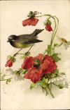 CPA Oiseau Fleurs 