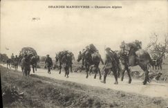 CPA Militaria Chasseurs alpins Grandes manoeuvres