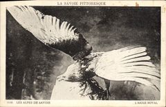 CPA Les Alpes de Savoie L'aigle royal 