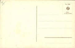CPA Perroquets 