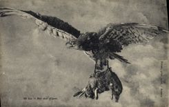 CPA Roi des Alpes Lapin Rapace Aigle 