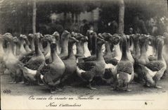 CPA Oies On casse la croute en famille 