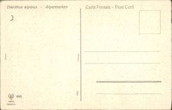 Postal Fantasia Flores Alpennelken