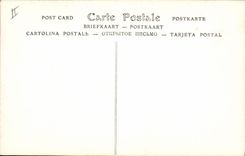 CPA Contrebasse Salon de 1911 Henri Dupont Le melomane