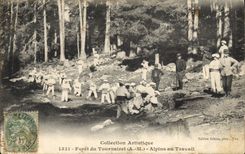 CPA Militaria Chasseurs Alpins Foret de Tournairet Alpins au travail