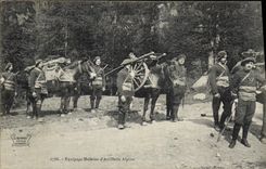 CPA Militaria Chasseurs Alpins Equipage muletier d'artillerie alpine