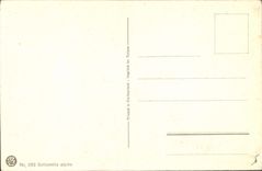 Postal Fantasia Flores Soldanella alpina