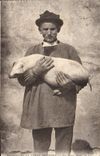 CPA Cochon Porc Les deux amis