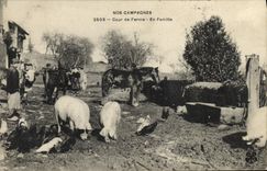 CPA Cochon Porc Cour de ferme En famille