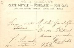 Vintage Postcard Paris Library the secondhand booksellers (chart toilee)