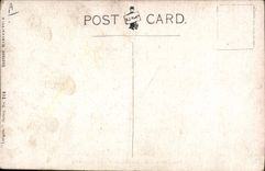 CPA Fantaisie Illustrateur Poules Coq