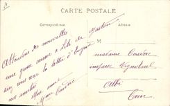 CPA Cochon Porc Papa Maman et leurs enfants en villegiature 