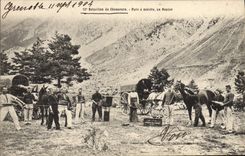 CPA Militaria Chasseurs Alpins 12eme bataillon de chasseurs Parc a mulets au rosier 