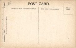 Postal Fantasia Ilustrador Niños Donald Mc Gill Perro