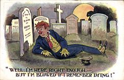 CPA Fantaisie Illustrateur Donald Mc Gill 