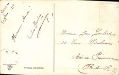 Vintage Postcard Fantasy Flowers Primula integrifolia