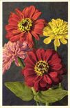 CPA Fantaisie Fleurs Zinnie